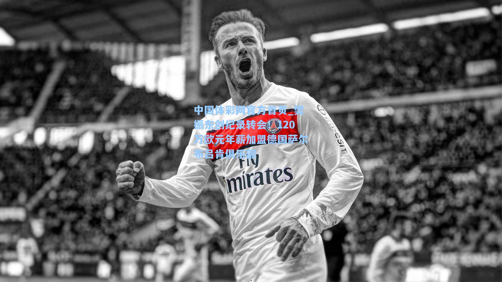 中国体彩网官方首页_樊振东创纪录转会！120万欧元年薪加盟德国萨尔布吕肯俱乐部