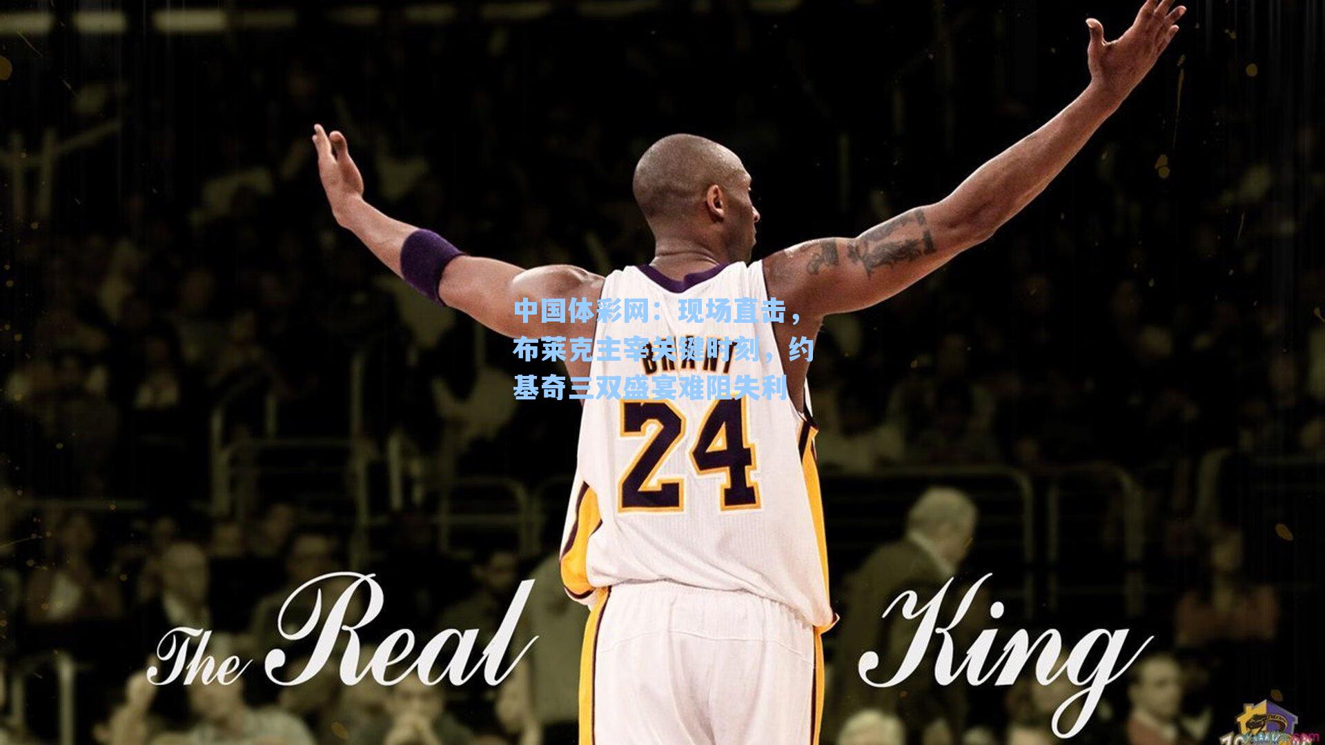 现场直击，布莱克主宰关键时刻，约基奇三双盛宴难阻失利